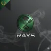 شعار Rays shop