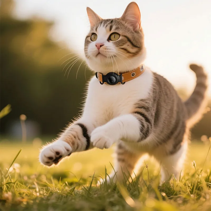 Thumbnail for Airtag Dispositif anti-perte de positionnement type collier pour animal de compagnie E91C – جهاز تحديد المواقع